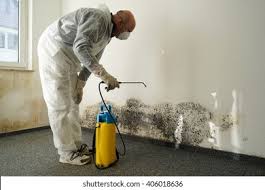 Tallapoosa, GA Mold Prevention & Removal  Company